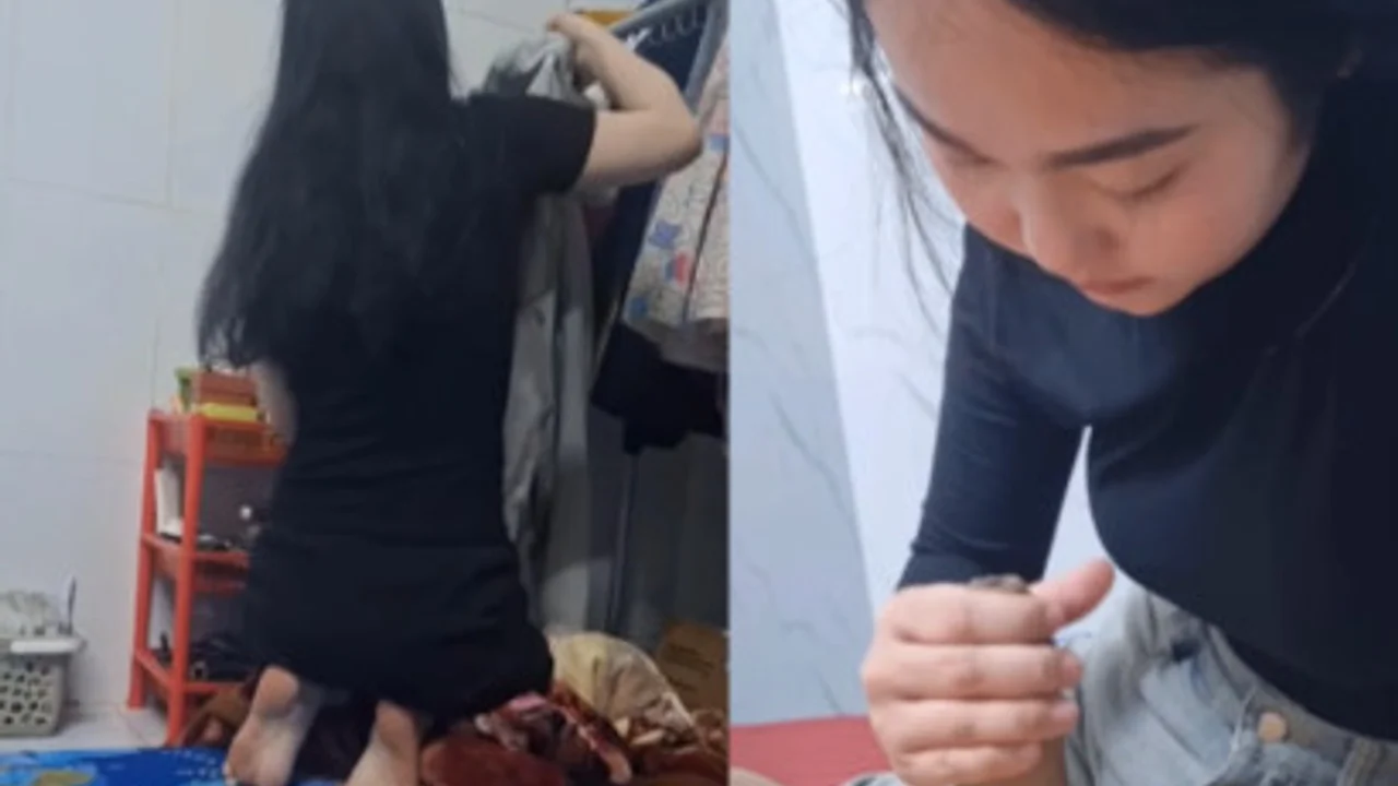 Ảnh xem trước video Sang thăm bạn ốm được thổi kèn miễn phí
